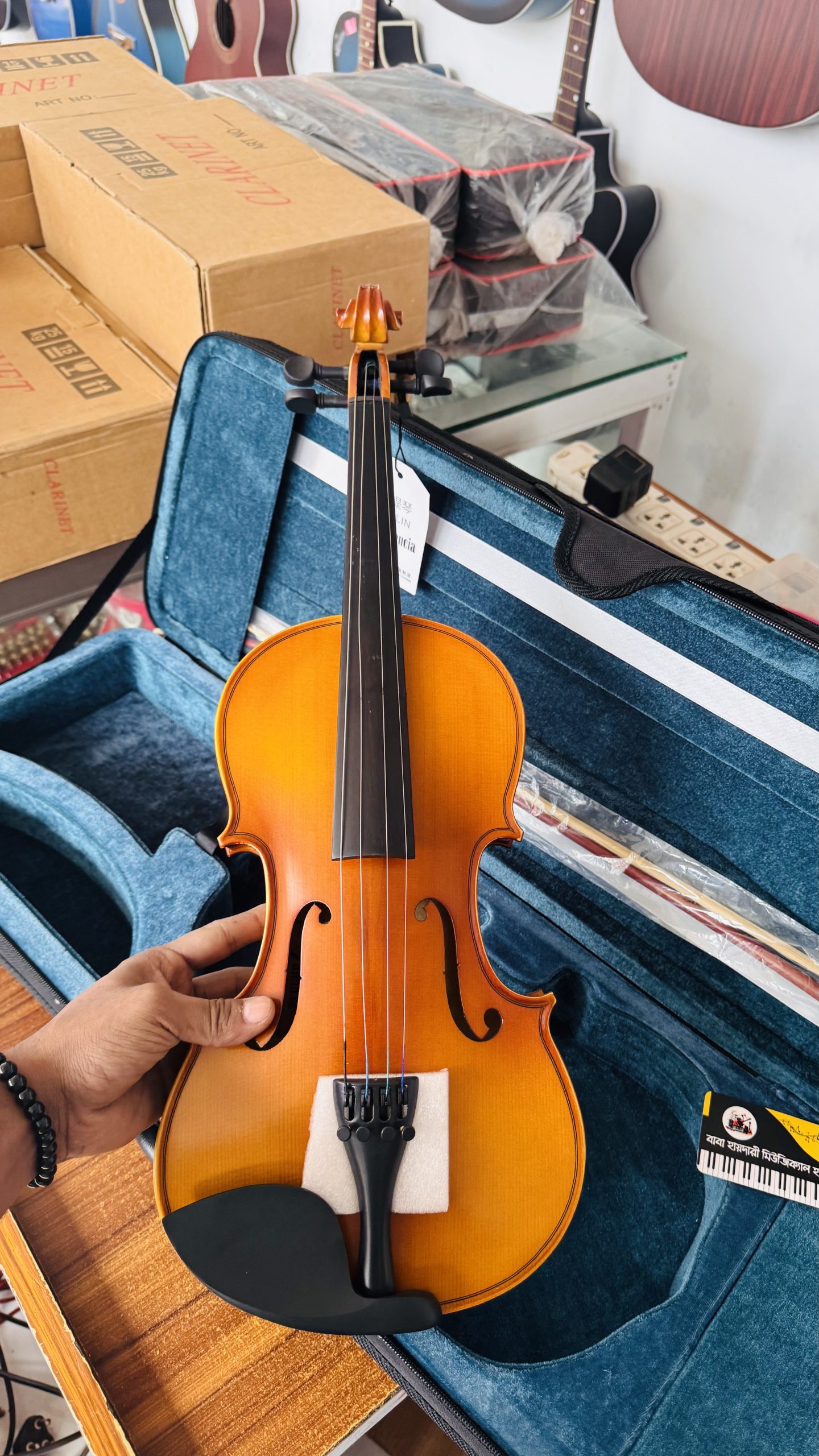 Violin