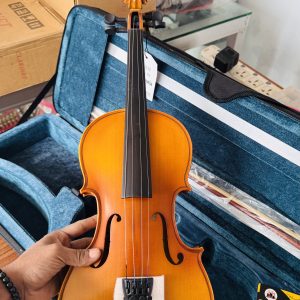 Violin 40