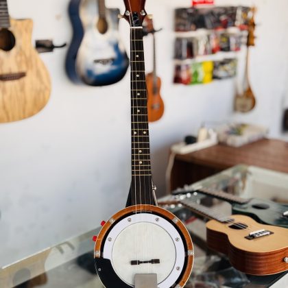 M biswas 4 string Banjo